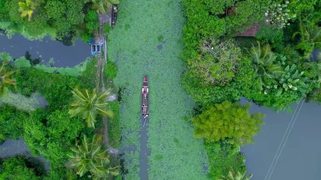 Kerala farmland from above
